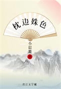 边枕小说
